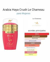 SET ARABIA CRUSH (triplicado)